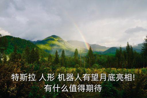 特斯拉 人形 機(jī)器人有望月底亮相!有什么值得期待