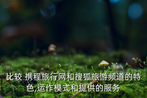 攜程數(shù)據(jù)泄密門,攜程泄密門事件采取策略