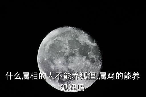 什么屬相的人不能養(yǎng)狐貍,屬雞的能養(yǎng)狐貍嗎