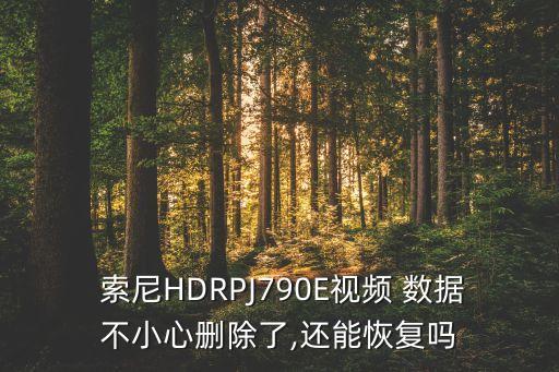  索尼HDRPJ790E視頻 數(shù)據(jù)不小心刪除了,還能恢復(fù)嗎