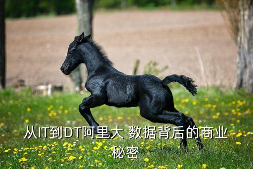 從IT到DT阿里大 數(shù)據(jù)背后的商業(yè)秘密