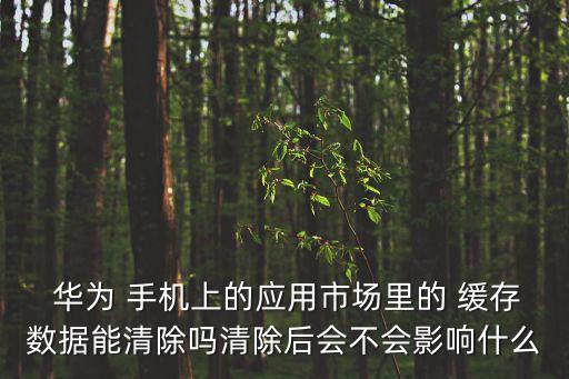  華為 手機上的應(yīng)用市場里的 緩存數(shù)據(jù)能清除嗎清除后會不會影響什么