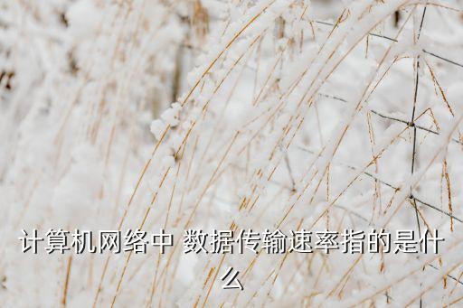 計(jì)算機(jī)網(wǎng)絡(luò)中 數(shù)據(jù)傳輸速率指的是什么