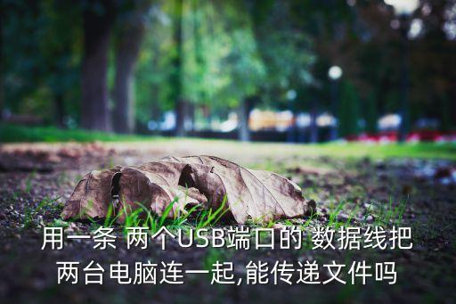 用一條 兩個(gè)USB端口的 數(shù)據(jù)線把兩臺(tái)電腦連一起,能傳遞文件嗎