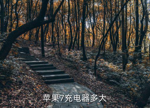 蘋果7充電器多大