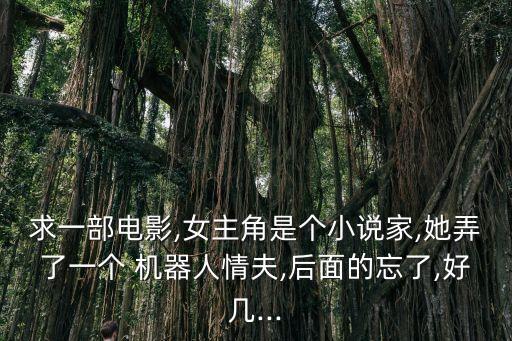 求一部電影,女主角是個小說家,她弄了一個 機器人情夫,后面的忘了,好幾...