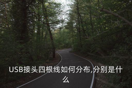 USB接頭四根線如何分布,分別是什么