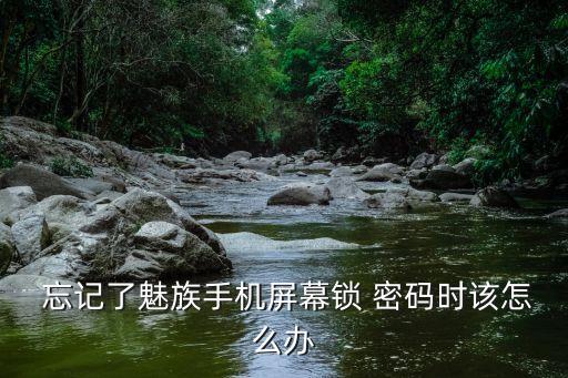  忘記了魅族手機屏幕鎖 密碼時該怎么辦