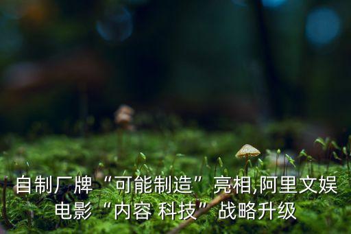 自制廠牌“可能制造”亮相,阿里文娛電影“內(nèi)容 科技”戰(zhàn)略升級