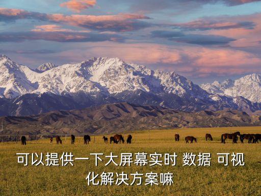 可以提供一下大屏幕實(shí)時(shí) 數(shù)據(jù) 可視化解決方案嘛