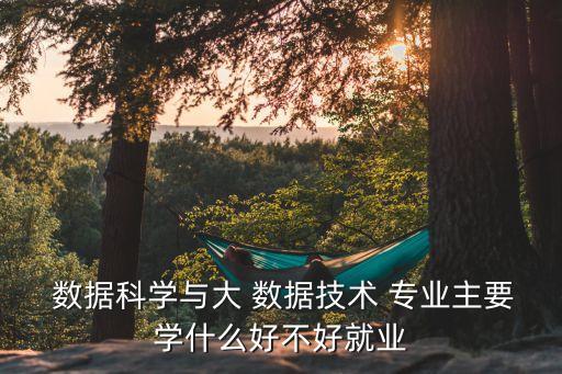  數(shù)據(jù)科學(xué)與大 數(shù)據(jù)技術(shù) 專業(yè)主要學(xué)什么好不好就業(yè)