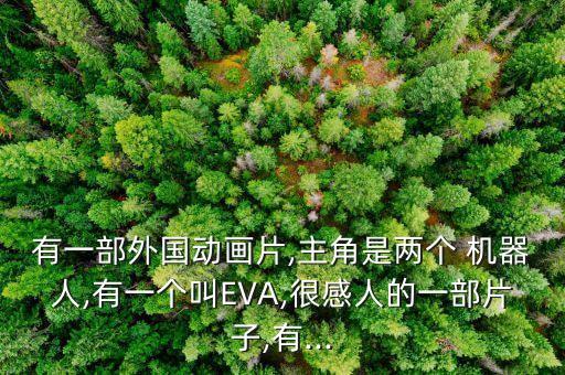 有一部外國動(dòng)畫片,主角是兩個(gè) 機(jī)器人,有一個(gè)叫EVA,很感人的一部片子,有...
