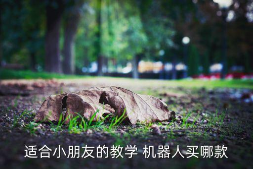 什么兒童機器人好,兒童做簡易機器人