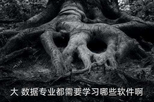 大 數(shù)據(jù)專業(yè)都需要學(xué)習(xí)哪些軟件啊