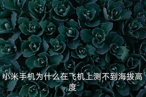 小米手機(jī)為什么在飛機(jī)上測(cè)不到海拔高度