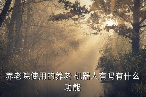養(yǎng)老院使用的養(yǎng)老 機(jī)器人有嗎有什么功能
