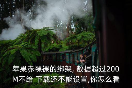 蘋果赤裸裸的綁架, 數(shù)據(jù)超過200M不給 下載還不能設(shè)置,你怎么看