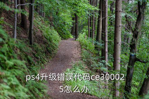  ps4升級錯誤代碼ce300025怎么辦