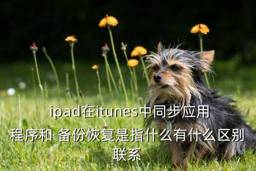  ipad在itunes中同步應(yīng)用程序和 備份恢復(fù)是指什么有什么區(qū)別聯(lián)系