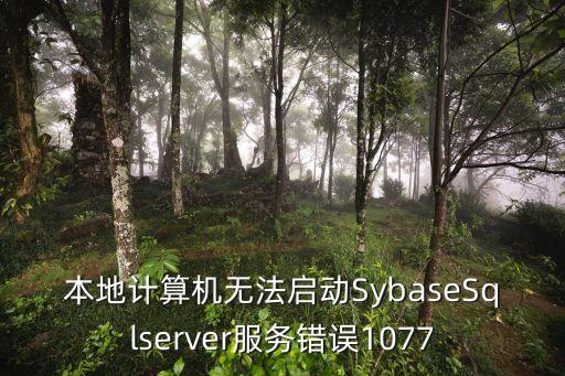 sybase數(shù)據(jù)庫(kù)安裝,Sybase 數(shù)據(jù)庫(kù) 行轉(zhuǎn)列