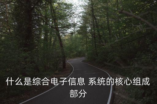什么是綜合電子信息 系統(tǒng)的核心組成部分