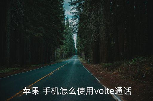 蘋(píng)果手機(jī)語(yǔ)音與數(shù)據(jù)LTE