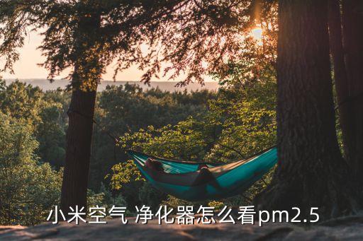 小米凈化器數(shù)據(jù)顯示16