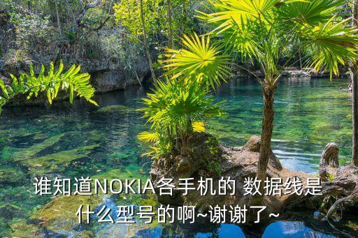 誰知道NOKIA各手機的 數(shù)據(jù)線是什么型號的啊~謝謝了~