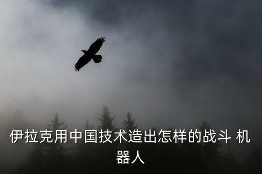 伊拉克用中國技術(shù)造出怎樣的戰(zhàn)斗 機(jī)器人