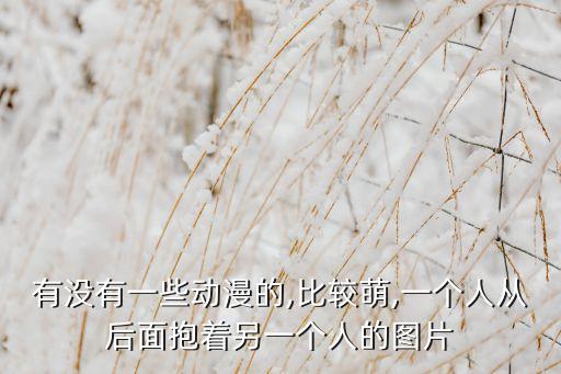 有沒有一些動漫的,比較萌,一個人從后面抱著另一個人的圖片