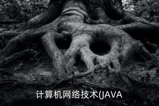 安卓和大數(shù)據(jù)學(xué)哪個(gè),安卓應(yīng)用數(shù)據(jù)在哪個(gè)文件夾