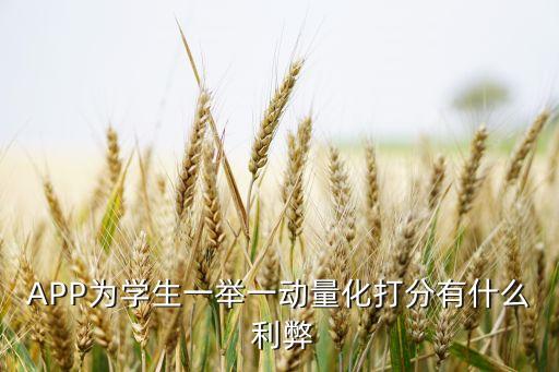 APP為學(xué)生一舉一動(dòng)量化打分有什么 利弊