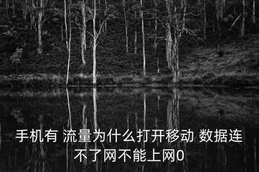手機(jī)有 流量為什么打開移動 數(shù)據(jù)連不了網(wǎng)不能上網(wǎng)0