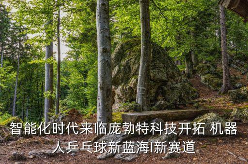 2015中國國際機器人雙龍戲珠