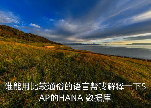 誰能用比較通俗的語言幫我解釋一下SAP的HANA 數(shù)據(jù)庫