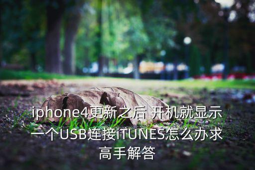 ipad4更新完后無(wú)法開(kāi)機(jī)屏幕上一直顯示itunes和一條數(shù)據(jù)線
