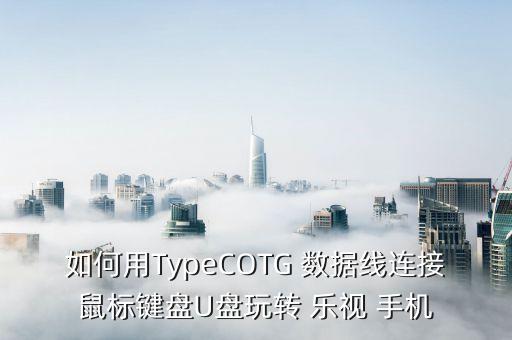 樂視手機(jī)數(shù)據(jù)線