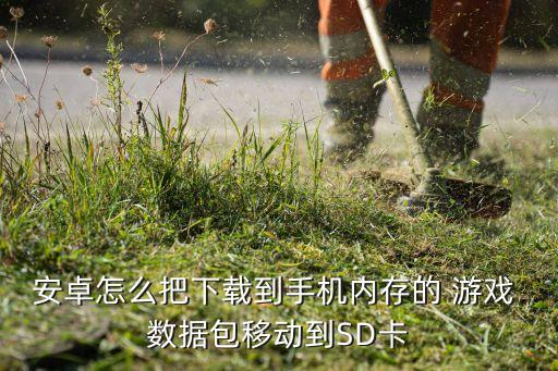 安卓怎么把下載到手機內(nèi)存的 游戲 數(shù)據(jù)包移動到SD卡