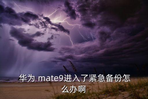  華為 mate9進(jìn)入了緊急備份怎么辦啊