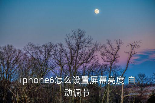 iphone6怎么設(shè)置屏幕亮度 自動(dòng)調(diào)節(jié)