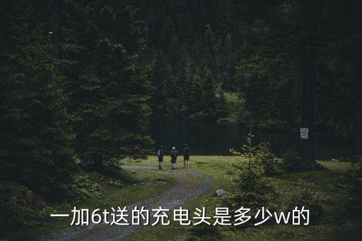 一加6t送的充電頭是多少w的