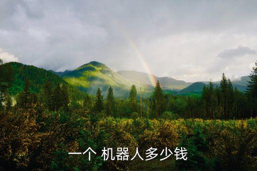 一個(gè) 機(jī)器人多少錢(qián)