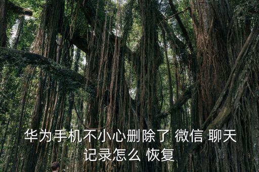  華為手機不小心刪除了 微信 聊天記錄怎么 恢復