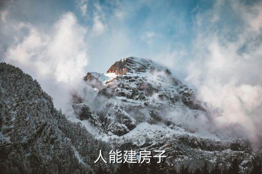 機器人能建房子
