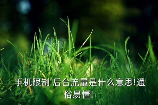  手機(jī)限制 后臺流量是什么意思!通俗易懂!