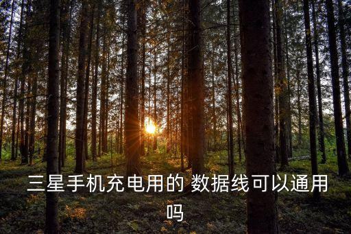  三星手機(jī)充電用的 數(shù)據(jù)線可以通用嗎