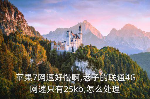  蘋果7網(wǎng)速好慢啊,老子的聯(lián)通4G網(wǎng)速只有25kb,怎么處理