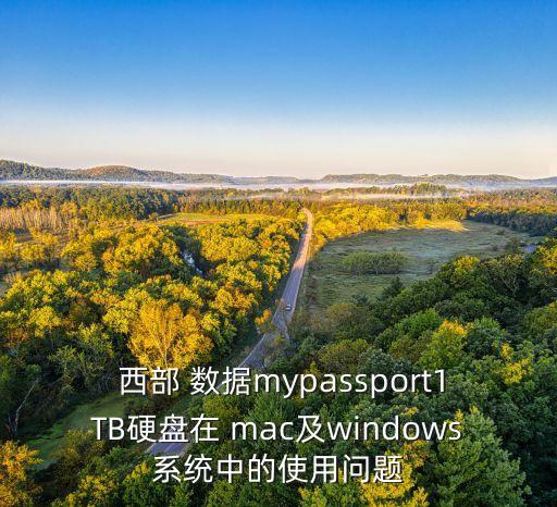  西部 數(shù)據(jù)mypassport1TB硬盤在 mac及windows系統(tǒng)中的使用問(wèn)題