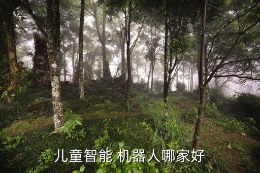 兒童智能 機(jī)器人哪家好