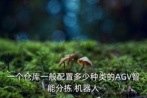 一個(gè)倉庫一般配置多少種類的AGV智能分揀 機(jī)器人